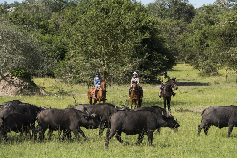 Guests on a horse ride safari in Lake Mburo National Park, Uganda. Credit: Mihingo Safari Lodge