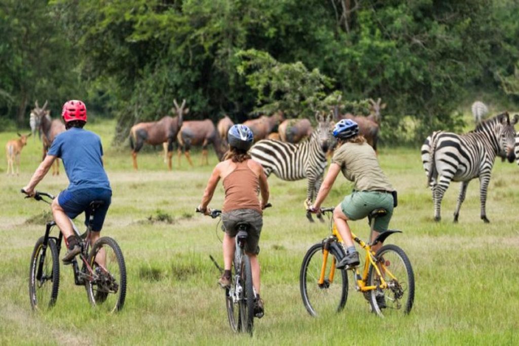 Mountain Biking in Uganda - Inside Lake Mburo National Park