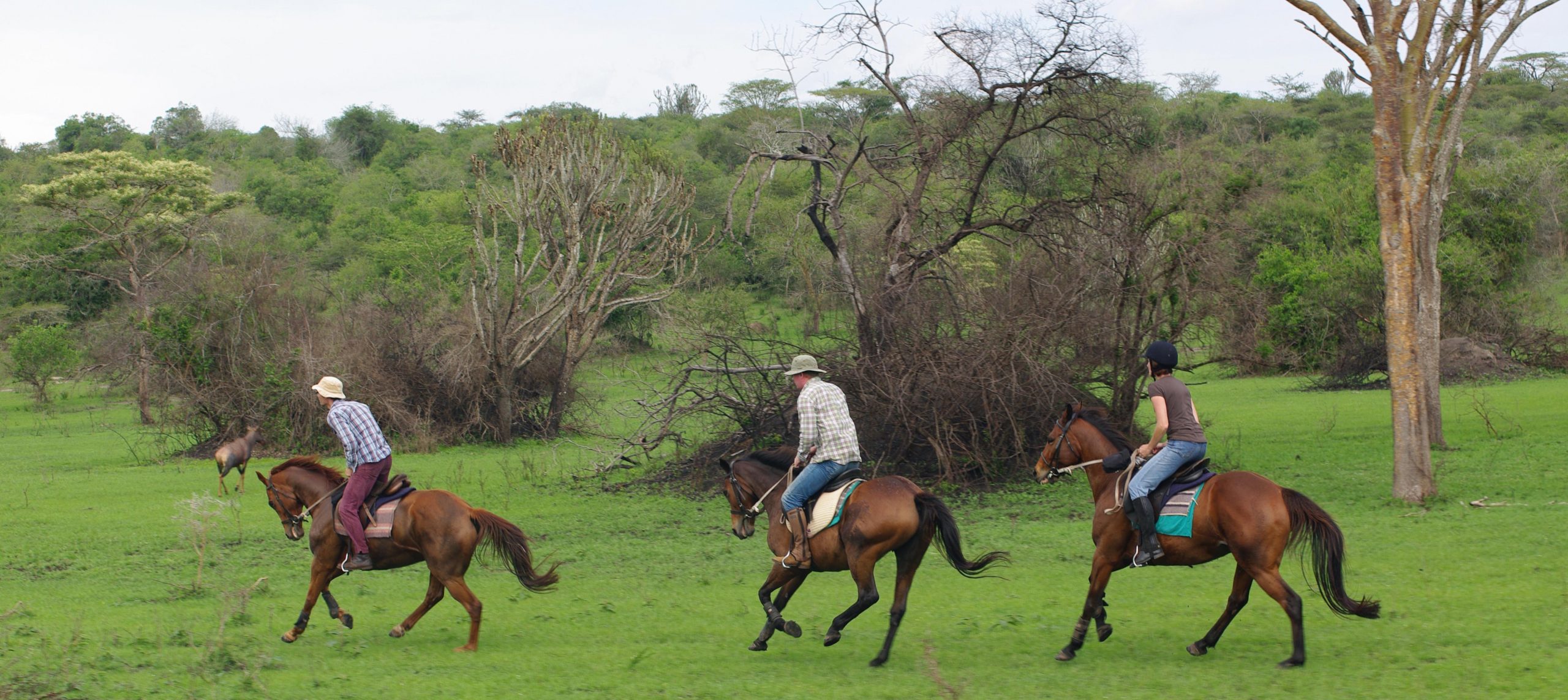 Horse riding in lake mburo