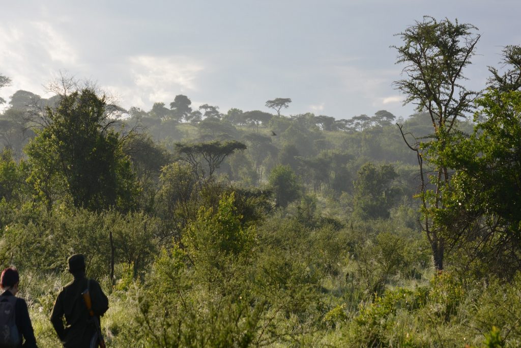 Rubanga Forest, Lake Mburo National Park