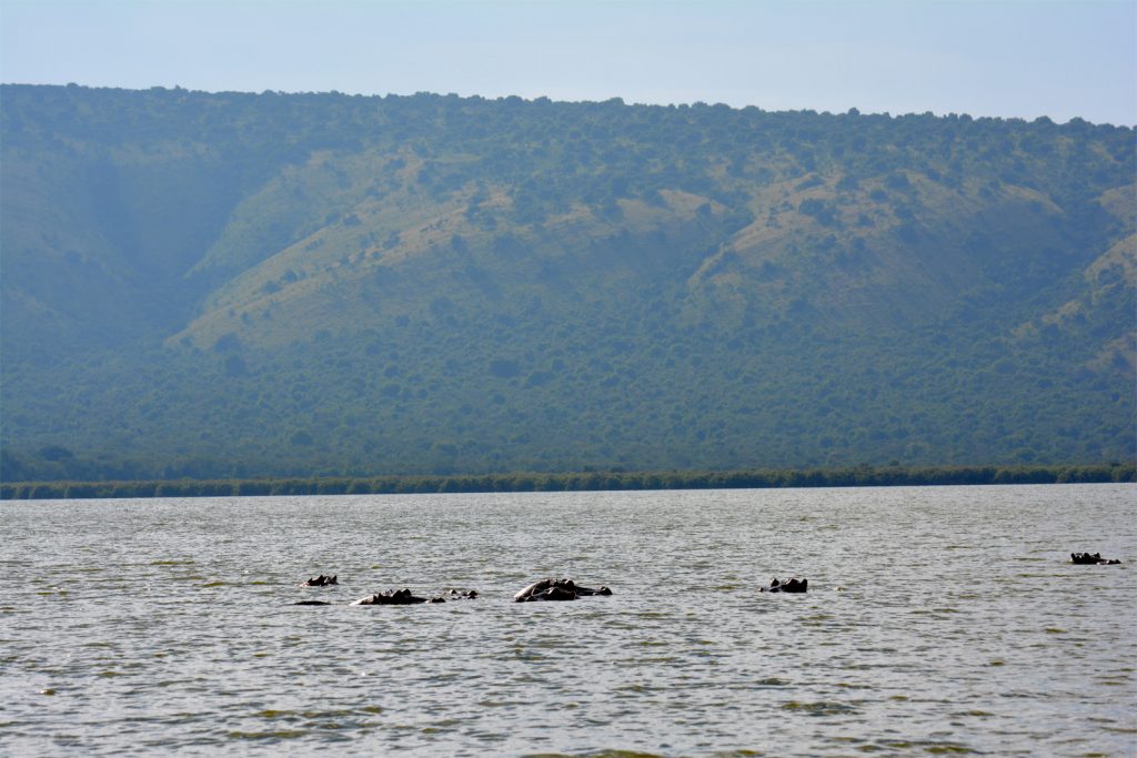 lake mburo national park