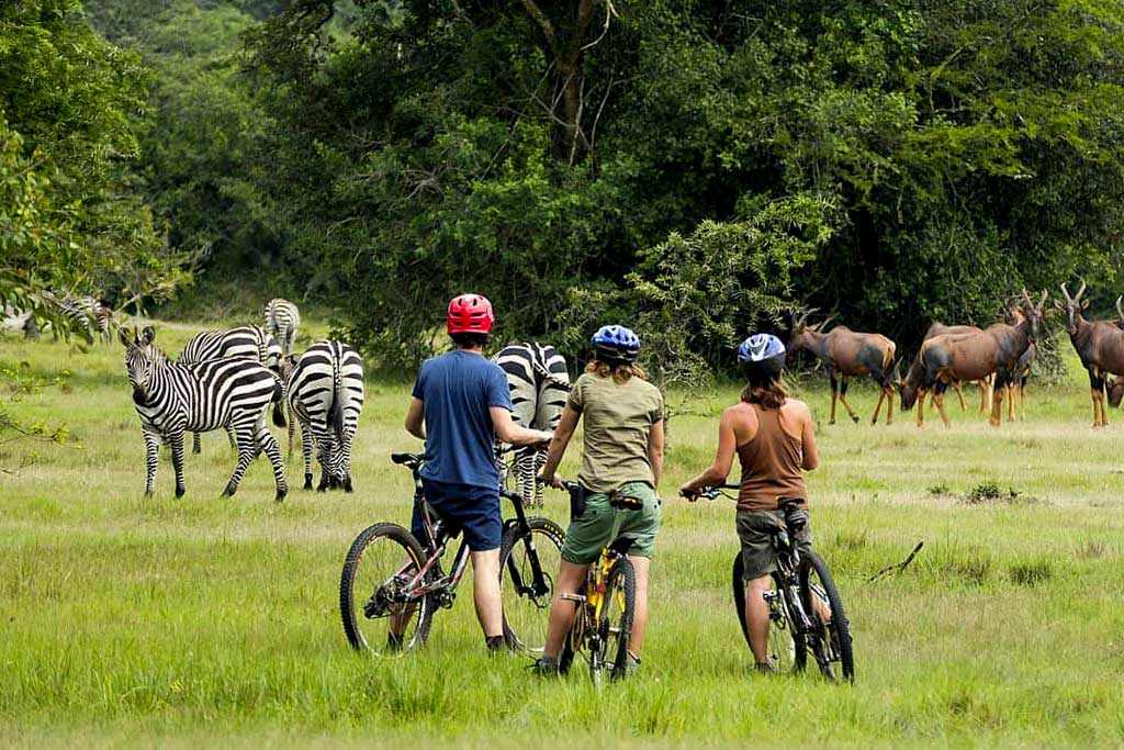 Cycling and mountain biking in Lake Mburo National Park