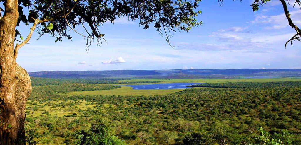 One of the views from Kazuma Hill, Lake Mburo National Park, Uganda